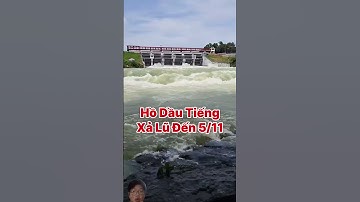 Hồ dầu tiếng xã lũ #tintuc #shortsvideo