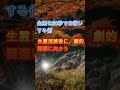 生霊を30秒でお祓いする術 源流中国気功の秘術収録済
