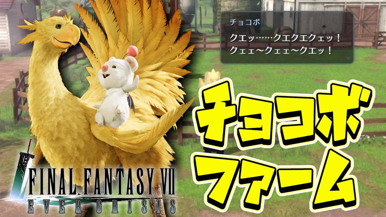 FF7EC】エバークライシスのチョコボはコレ！今後チョコボレース出来