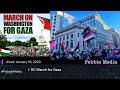 Dc march on gaza  13 january 2024  pebble media on pti