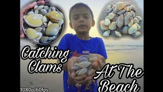 Finding Clams Khube At The Beach समदरकनर खब शधणयच पदधत King.fisher Goa