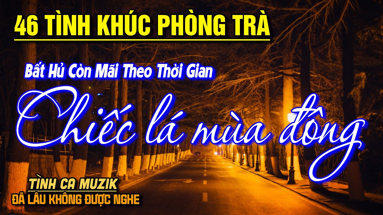 46 Tình Khúc Phòng Trà CHÀO XUÂN BÍNH NGỌ ➤LK Nhạc Vàng Xưa Chọn Lọc TOÀN BÀI HAY SAY ĐẮM LÒNG NGƯỜI