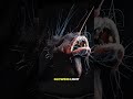 top 5 scariest monster ever discovered!!! 😲😲😲  #facts #shortsvideo #usashorts #usa #top5facts #trend
