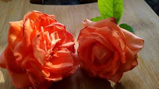 Watch This Videorelaxation Videolaxmisri Vantillu