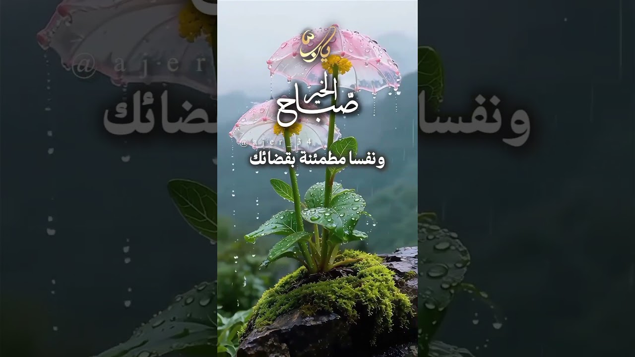 الأربعاء 19 نوفمبر 2025 دعاء جميل