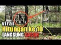 Suara Kacer Untuk Terapi Macet Bunyi Mp3 - Mp4 Download