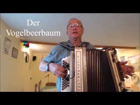 Der Vogelbeerbaum