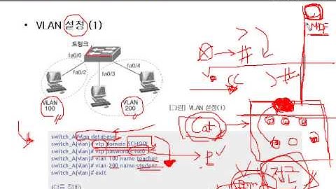 CCNA (12-(2). 시스코 스위치 설정과 VLAN 2)