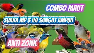 Download Lagu SUARA PIKAT BURCIL+KOMBINASI KUTILANG RIBUT DAN KOMBINASI KUTILANG ANAKAN+SOGON GK ADA TANDINGANNYA MP3 Download Lagu SUARA PIKAT BURCIL+KOMBINASI KUTILANG RIBUT DAN KOMBINASI KUTILANG ANAKAN+SOGON GK ADA TANDINGANNYA MP3