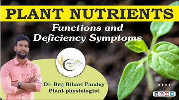 Plant Nutrients Functions & Deficiency Symptoms || Detailed Analysis By Dr. Brij Bihari Pandey