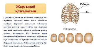 Саша Грей бір уақытта екі еркекпен жыныстық қатынасқа түседі