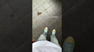 Sleeping With Sirens  If Im James Dean Youre Audrey Hepburn s lirik  shorts