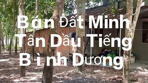 Bán Đất Xã Minh Tân, Huyện Dầu Tiếng, Bình Dương