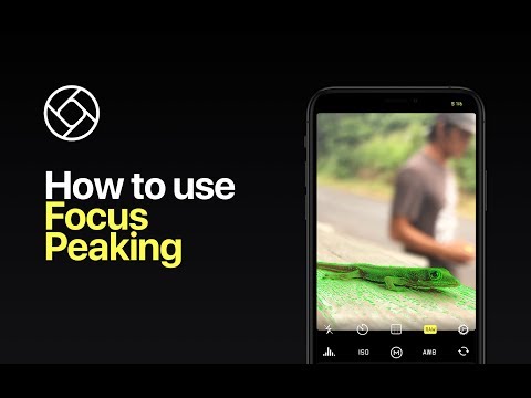 How to use focus peaking on iPhone — Halide tutorial