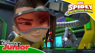 Team Spidey har blitt krympet | Spidey og hans fantastiske venner | Disney Junior Norge