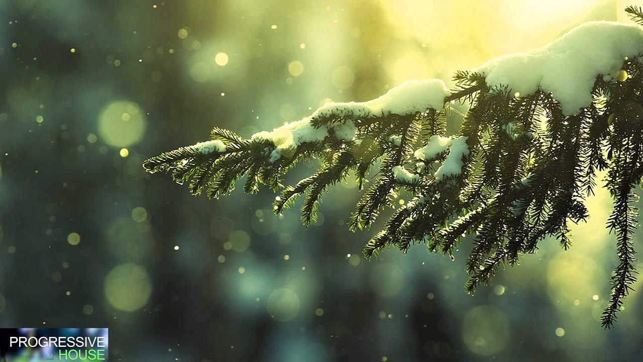 Progressive House Promo Session 13 Winter 2015