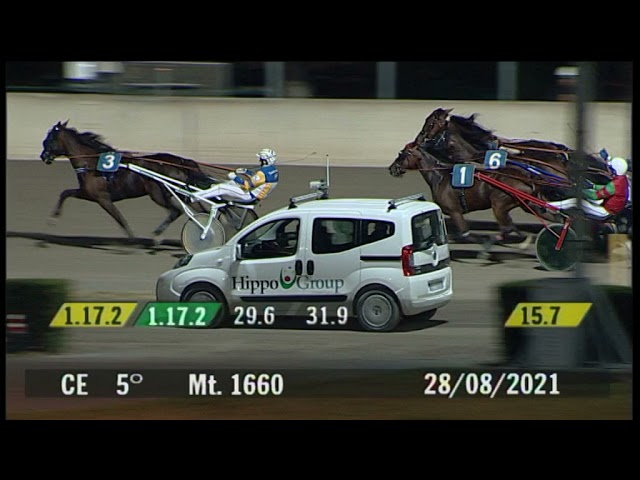 2021 08 28 | Corsa 5 | Metri 1660 | Premio Cavalier Riccardo Gualdani