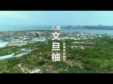 吹海風的柚子 — 新北八里柚｜新北市政府農業局