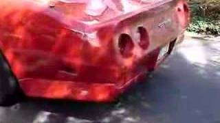 1981 corvette walkaround