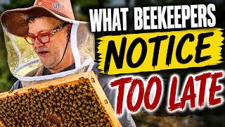 Beekeeping: What Beekeepers Notice Too Late