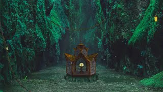 🧚 Fairytale Ambience | Enchanted Forest, Magical Sounds, Nature ASMR #dnd by Night Sounds Ambience 8,296 views 1 year ago 5 hours