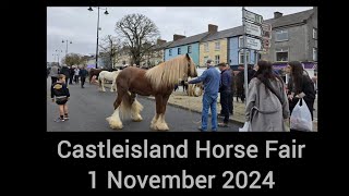 Castleisland Horse Fair. 1 November 2024.