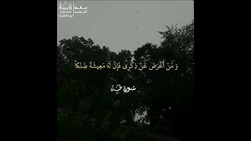 ماتيسر من سورة طه بصوت القارئ مالك أحمد