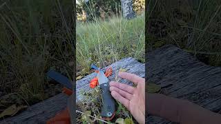 Top 5 Wilderness Survival Steps. Stay Alive!