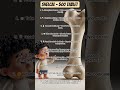 Shelcal - 500 Tablet #shorts #ytshorts #youtubeshorts