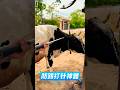 #farming #veterinary #syringe #cattledisease #trending #cattledisease #foryou #tools #viral