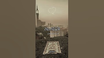 القرآن الكريم بصوت قاري عبدالبديع غيلان سورة بني إسرائيل ١٩_٢٠