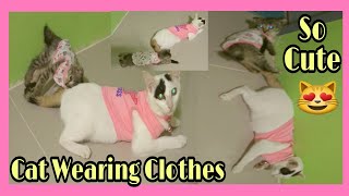 CAT WEARING CLOTHES😻 by Yolli bee 130 views 2 years ago 5 minutes, 31 seconds