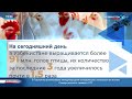 Пятый Международный форум птицеводов Узбекистана прошел в Ташкенте - 2022 | Новости компании SAGRADA