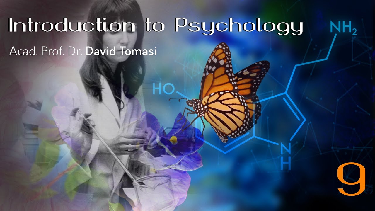 Lecture 9: Psychopharmacology (Introduction to Psychology)