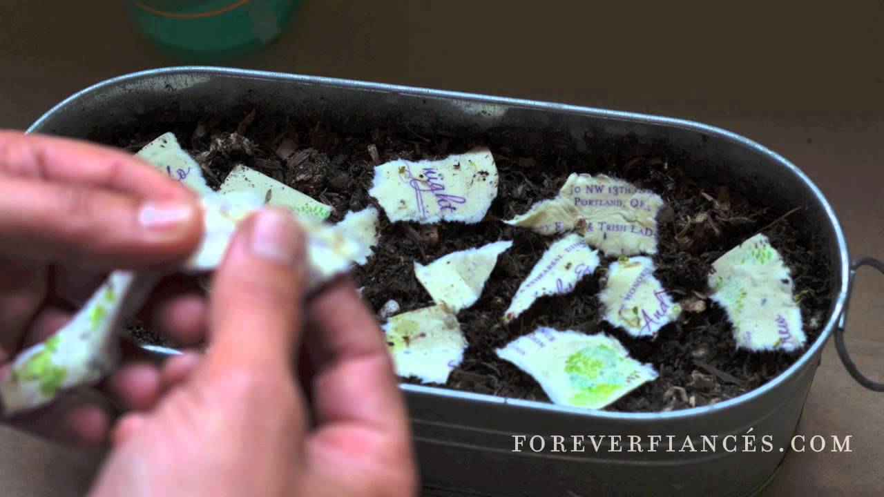 "How to Plant Seeded Invitations" | by ForeverFiances.com