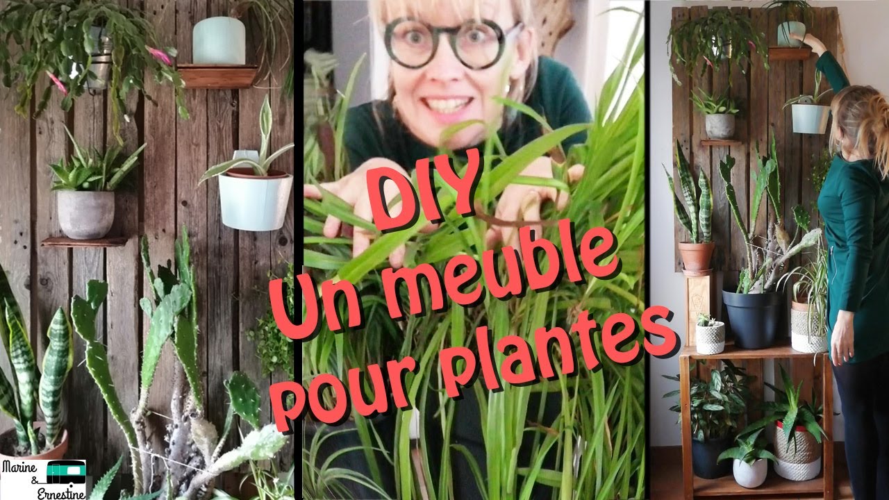 Tuto : Créez une étagère tendance pour poser vos plantes d'intérieur