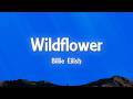 Billie Eilish WILDFLOWER Lyrics 