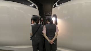 【4K】2018年6月27日。E259系連結して12両へ