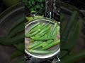आज 🔴 Live में सीखेंगे भिंडी मसाला बनाने का आसान तरीका 😲 |Easy Bhindi Masala Recipe |Ladyfinger Sabji
