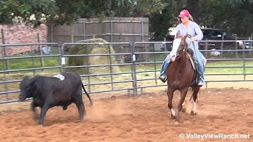 California Rose Anne - working cows - Valley View Ranch