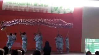 Chines Dragon And Lion Festival Opole 2016