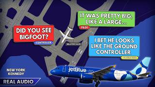 Unknown animal on runway causes Funny Conversation and Disrupts JFK operations. Real ATC