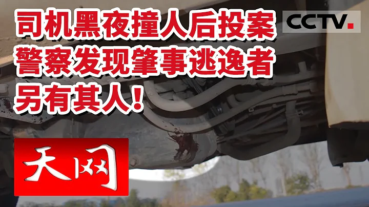 《天网》扑朔迷离“案中案” 石家庄警察追查七天六夜成功告破！20230321 | CCTV社会与法 - 天天要闻