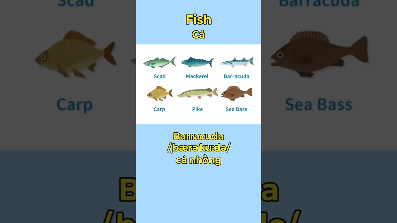 TÊN CỦA MỘT SỐ LOÀI CÁ TRONG TIẾNG ANH 