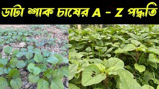 ডট শক চষর A - Z পদধত ডট চষ How To Grow Amaranth Seeds