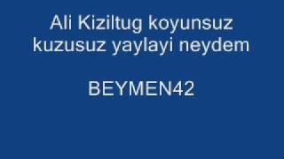 Ali Kiziltug Koyunsuz Kuzusuz Yayla Resimi