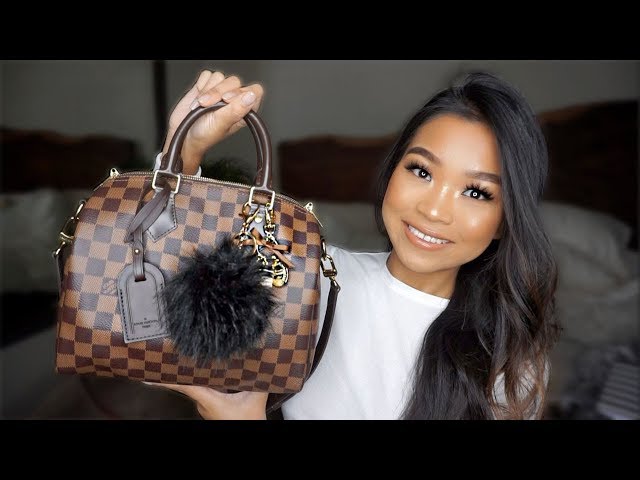 LV Speedy Bandouliere 25  Mini Review, WIMB + New Handbag Organizer 