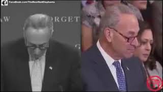 chuck schummer flip flop on illegal immigrants