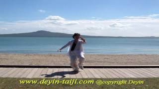 Beijing 10 Step Taijiquan By Master Faye Yip
