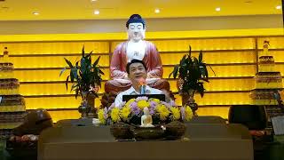 11  Samantabhadra Sutra 菩薩行願品